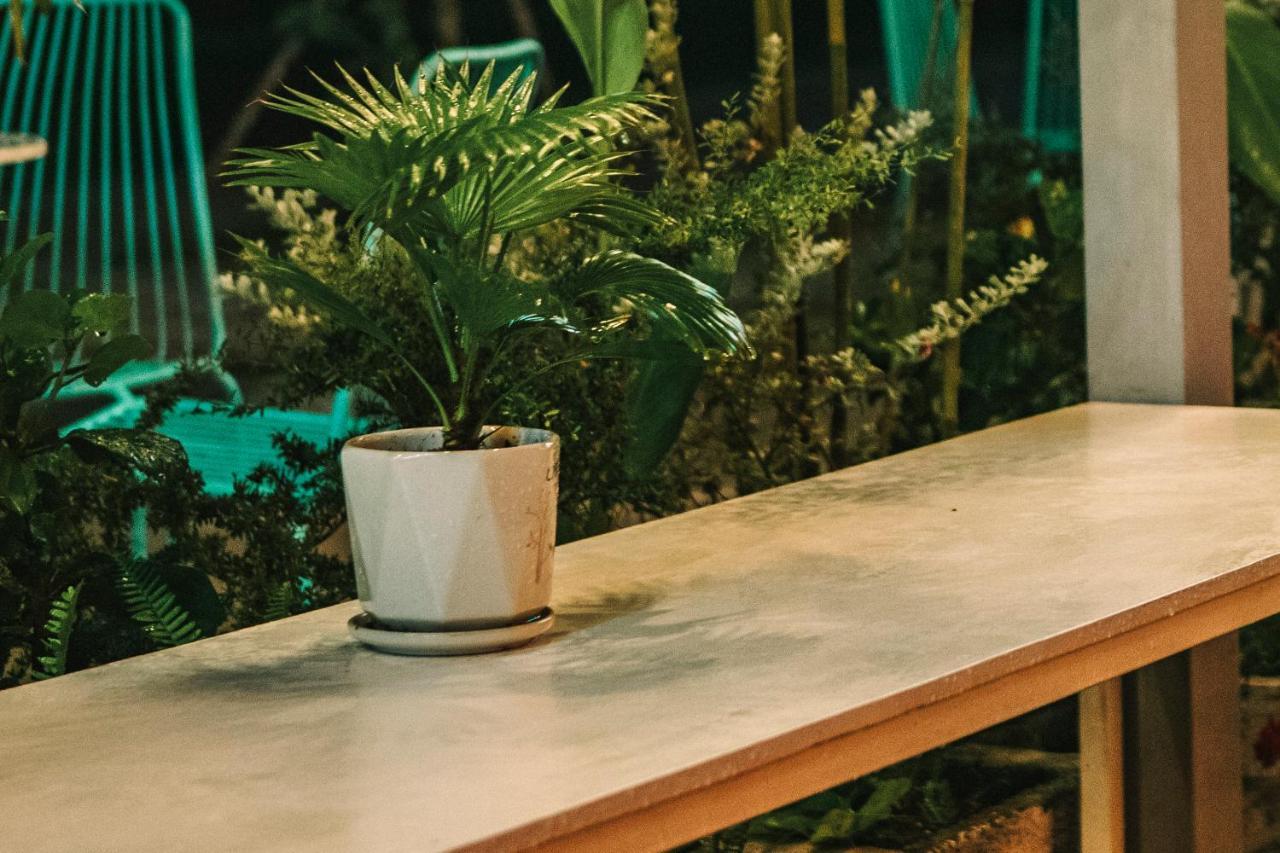 Dai Duong La Gi Homestay & Coffee Exteriör bild